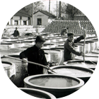 太阳集团城网站2018(中国)股份有限公司